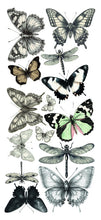 Load image into Gallery viewer, Ciao Bella - Art Stickers Uncut Transparent Adhesive Sheets - Typographic. 5 sheets. Available at Embellish Away located in Bowmanville Ontario Canada.