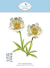 Load image into Gallery viewer, Elizabeth Craft - Metal Die - Blackfoot Daisy. Available at Embellish Away located in Bowmanville Ontario Canada.