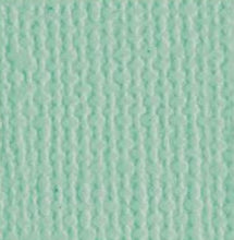 Load image into Gallery viewer, Bazzill - 12x12 Cardstock - Monochromatic - (80L). With the hundreds of choices in cardstock Bazzill offers you are guaranteed to find just the right one. 12x12 inch sheets of high quality cardstock with a canvas, crisscross or classic finish. Available in a vast variety of colors: each sold separately. Made in USA. Available at Embellish Away located in Bowmanville Ontario Canada.