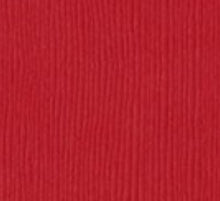 Charger l'image dans la galerie, Bazzill-Fourz Cardstock. With the hundreds of choices in cardstock Bazzill offers you are guaranteed to find just the right one with the perfect finish for all of your scrapbook, card making and paper craft projects of all kinds. Choose from a variety of colours in 12x12 inch sheets of high quality cardstock with a grass cloth finish. Available at Embellish Away located in Bowmanville Ontario Canada. Berrylicious.