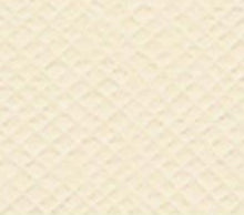 Load image into Gallery viewer, Bazzill - 12x12 Cardstock - Monochromatic - (80L). With the hundreds of choices in cardstock Bazzill offers you are guaranteed to find just the right one. 12x12 inch sheets of high quality cardstock with a canvas, crisscross or classic finish. Available in a vast variety of colors: each sold separately. Made in USA. Available at Embellish Away located in Bowmanville Ontario Canada.