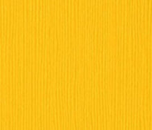 Charger l'image dans la galerie, Bazzill-Fourz Cardstock. With the hundreds of choices in cardstock Bazzill offers you are guaranteed to find just the right one with the perfect finish for all of your scrapbook, card making and paper craft projects of all kinds. Choose from a variety of colours in 12x12 inch sheets of high quality cardstock with a grass cloth finish. Available at Embellish Away located in Bowmanville Ontario Canada. Desert Marigold.
