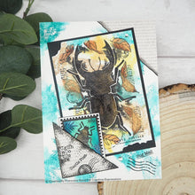 गैलरी व्यूवर में इमेज लोड करें, Woodware - Clear Singles - Paper Pockets. The precise cutting of these stamps will ensure clear and complete prints every time. Use with inks, embossing powders and other products, to create beautiful decorations on a multitude of craft projects. Available at Embellish Away located in Bowmanville Ontario Canada. example by brand ambassador.