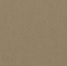 Charger l'image dans la galerie, Bazzill-Fourz Cardstock. With the hundreds of choices in cardstock Bazzill offers you are guaranteed to find just the right one with the perfect finish for all of your scrapbook, card making and paper craft projects of all kinds. Choose from a variety of colours in 12x12 inch sheets of high quality cardstock with a grass cloth finish. Available at Embellish Away located in Bowmanville Ontario Canada. Quick Sand.