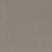 Charger l'image dans la galerie, Bazzill-Fourz Cardstock. With the hundreds of choices in cardstock Bazzill offers you are guaranteed to find just the right one with the perfect finish for all of your scrapbook, card making and paper craft projects of all kinds. Choose from a variety of colours in 12x12 inch sheets of high quality cardstock with a grass cloth finish. Available at Embellish Away located in Bowmanville Ontario Canada. Stonehenge.
