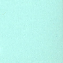 Charger l'image dans la galerie, Bazzill-Fourz Cardstock. With the hundreds of choices in cardstock Bazzill offers you are guaranteed to find just the right one with the perfect finish for all of your scrapbook, card making and paper craft projects of all kinds. Choose from a variety of colours in 12x12 inch sheets of high quality cardstock with a grass cloth finish. Available at Embellish Away located in Bowmanville Ontario Canada. Turquoise Mist.