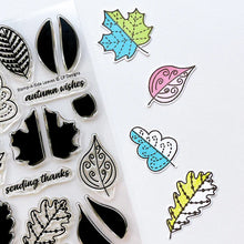 Load image into Gallery viewer, Catherine Pooler - Stamp &amp; Die Set - Stamp-a-Side Leaves. You will certainly fall for the Stamp-a-Side Leaves Stamp &amp; Die Set. You can stamp the whimsical patterned leaves with multiple ink colors or color the outline image with markers or blender pens. Available at Embellish Away located in Bowmanville Ontario Canada.
