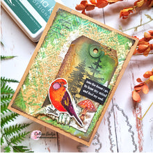 Load image into Gallery viewer, Gina K. Designs - Stamp &amp; Die Set - Nature Walk. Nature Walk is a stamp set by Hannah Drapinski. This set is made of premium clear photopolymer and measures 6" X 8".  Made in the USA. Available at Embellish Away located in Bowmanville Ontario Canada. Example by brand ambassador.
