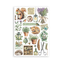 गैलरी व्यूवर में इमेज लोड करें, Stamperia - A5 Washi Pad - Herbarium Silvae. Includes 8 Sheets. Available at Embellish Away located in Bowmanville Ontario Canada.
