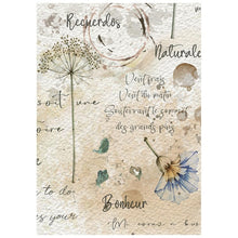 Charger l'image dans la galerie, Stamperia - A6 Mini Rice Paper - 8/Sheets - Flowers and Poems. Available at Embellish Away located in Bowmanville Ontario Canada.

