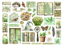 將圖片載入圖庫檢視器 Stamperia - Die Cuts - Herbarium Silvae. Available at Embellish Away located in Bowmanville Ontario Canada.
