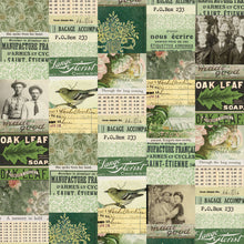 將圖片載入圖庫檢視器 Tim Holtz - Idea-Ology - 12X12 Palette Collection - Green. Includes 12 double-sided sheets. At Embellish Away in Bowmanville Ontario Canada.
