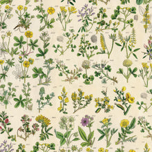 將圖片載入圖庫檢視器 Tim Holtz - Idea-Ology - 12X12 Palette Collection - Yellow. Includes 12 double-sided sheets. At Embellish Away in Bowmanville Ontario Canada.
