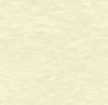 Load image into Gallery viewer, Bazzill - 12x12 Cardstock - Monochromatic - (80L). With the hundreds of choices in cardstock Bazzill offers you are guaranteed to find just the right one. 12x12 inch sheets of high quality cardstock with a canvas, crisscross or classic finish. Available in a vast variety of colors: each sold separately. Made in USA. Available at Embellish Away located in Bowmanville Ontario Canada.
