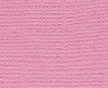 Charger l'image dans la galerie, Bazzill-Fourz Cardstock. With the hundreds of choices in cardstock Bazzill offers you are guaranteed to find just the right one with the perfect finish for all of your scrapbook, card making and paper craft projects of all kinds. Choose from a variety of colours in 12x12 inch sheets of high quality cardstock with a grass cloth finish. Available at Embellish Away located in Bowmanville Ontario Canada. Chablis.
