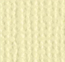 Load image into Gallery viewer, Bazzill - 12x12 Cardstock - Monochromatic - (80L). With the hundreds of choices in cardstock Bazzill offers you are guaranteed to find just the right one. 12x12 inch sheets of high quality cardstock with a canvas, crisscross or classic finish. Available in a vast variety of colors: each sold separately. Made in USA. Available at Embellish Away located in Bowmanville Ontario Canada.
