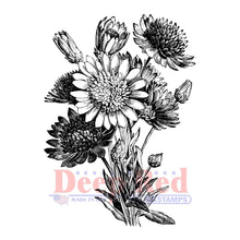 Cargar imagen en el visor de la galería, Deep Red - Cling Stamp - 2.1"X3" - Xeranthemum. There is such a large variety of stamps that you will be able to find the perfect match for every project. There are background stamps, holiday themed, sentiments, love, friendship, floral, characters and more! Deep Red stamps are made of a blend of natural rubber and are attached to a cling foam pad for better definition. Available at Embellish Away located in Bowmanville Ontario Canada.

