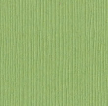 Charger l'image dans la galerie, Bazzill-Fourz Cardstock. With the hundreds of choices in cardstock Bazzill offers you are guaranteed to find just the right one with the perfect finish for all of your scrapbook, card making and paper craft projects of all kinds. Choose from a variety of colours in 12x12 inch sheets of high quality cardstock with a grass cloth finish. Available at Embellish Away located in Bowmanville Ontario Canada. Lily Pond.

