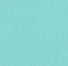 Charger l'image dans la galerie, Bazzill-Fourz Cardstock. With the hundreds of choices in cardstock Bazzill offers you are guaranteed to find just the right one with the perfect finish for all of your scrapbook, card making and paper craft projects of all kinds. Choose from a variety of colours in 12x12 inch sheets of high quality cardstock with a grass cloth finish. Available at Embellish Away located in Bowmanville Ontario Canada. Patina.
