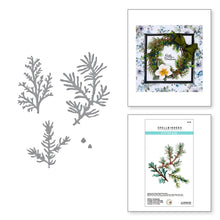 Charger l'image dans la galerie, Spellbinders - Etched Dies By Susan Tierney-Cockburn - Winter Evergreen Foliage - Winter Garden. The set of four thin metal cutting dies makes for a wonderful accent on any floral creation or cut many to create a wreath. So many design options! Available at Embellish Away located in Bowmanville Ontario Canada.
