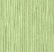Charger l'image dans la galerie, Bazzill-Fourz Cardstock. With the hundreds of choices in cardstock Bazzill offers you are guaranteed to find just the right one with the perfect finish for all of your scrapbook, card making and paper craft projects of all kinds. Choose from a variety of colours in 12x12 inch sheets of high quality cardstock with a grass cloth finish. Available at Embellish Away located in Bowmanville Ontario Canada. Spring Breeze.
