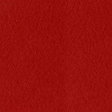 Charger l'image dans la galerie, Bazzill-Fourz Cardstock. With the hundreds of choices in cardstock Bazzill offers you are guaranteed to find just the right one with the perfect finish for all of your scrapbook, card making and paper craft projects of all kinds. Choose from a variety of colours in 12x12 inch sheets of high quality cardstock with a grass cloth finish. Available at Embellish Away located in Bowmanville Ontario Canada. Classic Red.
